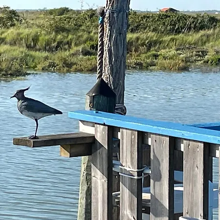 Hébergement de vacances Charming 3-bedroom Mobile In Les Mathes, France *