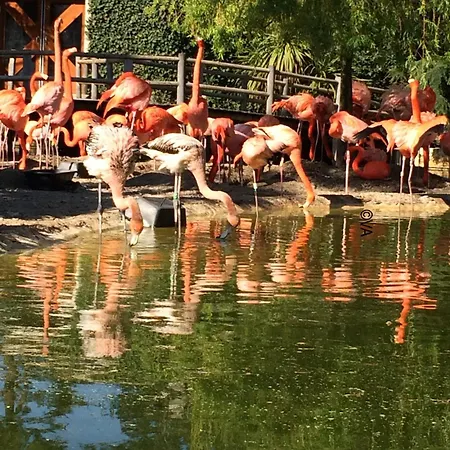 Hébergement de vacances Charming 3-bedroom Mobile In Les Mathes, France
