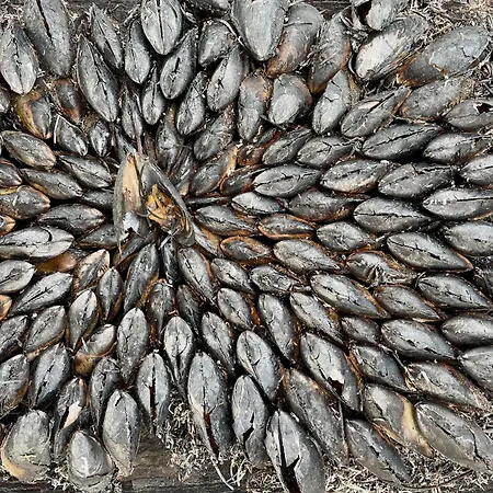 Hébergement de vacances Charming 3-bedroom Mobile In Les Mathes, France Les Mathes