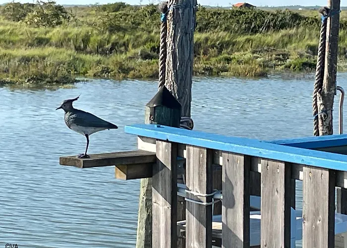 Semesterbostad Charming 3-bedroom Mobile In Les Mathes, France *