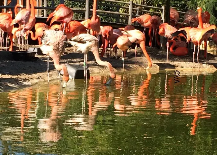 Semesterbostad Charming 3-bedroom Mobile In Les Mathes, France