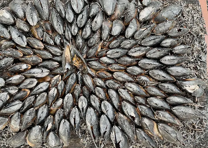 Semesterbostad Charming 3-bedroom Mobile In Les Mathes, France Les Mathes